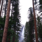 Yosemite National Park
