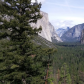 Yosemite National Park