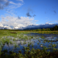 Grand Teton National Park