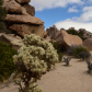 Joshua Tree National Park
