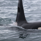 Kenai Fjords National Park 
