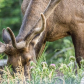 Rocky Mountain National Park 
