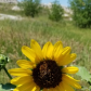 Badlands National Park 