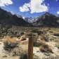Inyo National Forest
