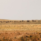 Bighorn Basin