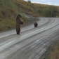 Denali National Park