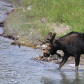 Grand Teton National Park