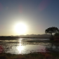 Bosque Del Apache National Wildlife Refuge