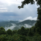 Blue Ridge Parkway 