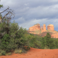 Coconino National Forest
