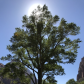 Zion National Park