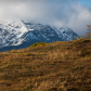 Denali National Park