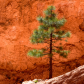 Bryce Canyon National Park
