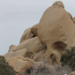 Joshua Tree National Park