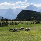 Glacier National Park