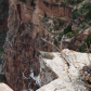 Grand Canyon National Park 