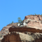 Zion National Park