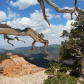 Cedar Breaks National Monument