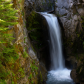 Mount Rainier National Park