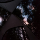 Gifford Pinchot National Forest