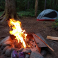 Gifford Pinchot National Forest