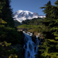 Mount Rainier National Park