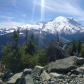Mount Rainier National Park