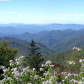 Blue Ridge Parkway