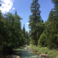 KIngs Canyon National Park