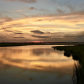 Assateague Island National Seashore