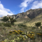 Guadalupe Mountains National Park