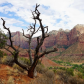 Zion National Park