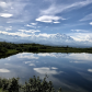 Denali National Park