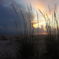 Cumberland Island National Seashore