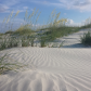 Cumberland Island National Seashore