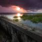 Jamaica Bay Wildlife Refuge