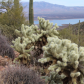 Tonto National Monument