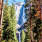 Yosemite National Park