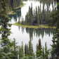 Denali National Park