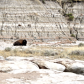 Theodore Roosevelt National Park