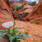 Buckskin Gulch