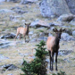 Rocky Mountain National Park