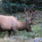 Rocky Mountain National Park