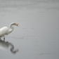 Horicon National Wildlife Refuge 