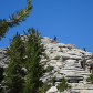 Yosemite National Park