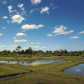 Assateague Island National Seashore