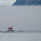 Glacier Bay National Park and Preserve