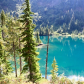 Mount Rainier National Park