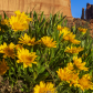 Arches National Park