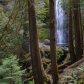 Olympic National Park